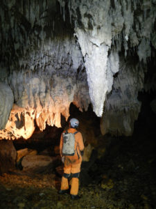 Wild glow-worm cave, Mole Creek Karst National Park, World Heritage Area