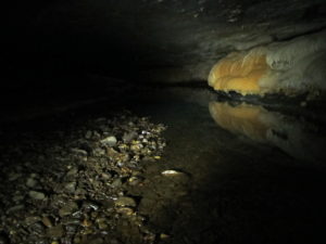 Glow-worm stream cave